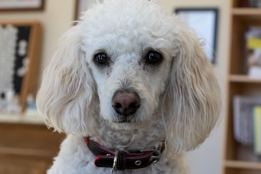 Meet the Public Relations Manager